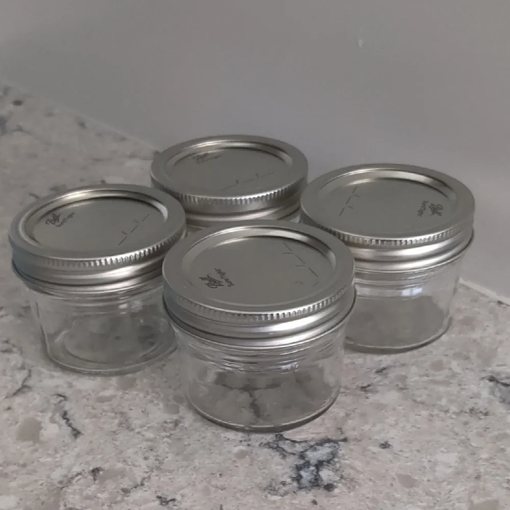 Set of 4 Clear Glass Jars with Silver Lids